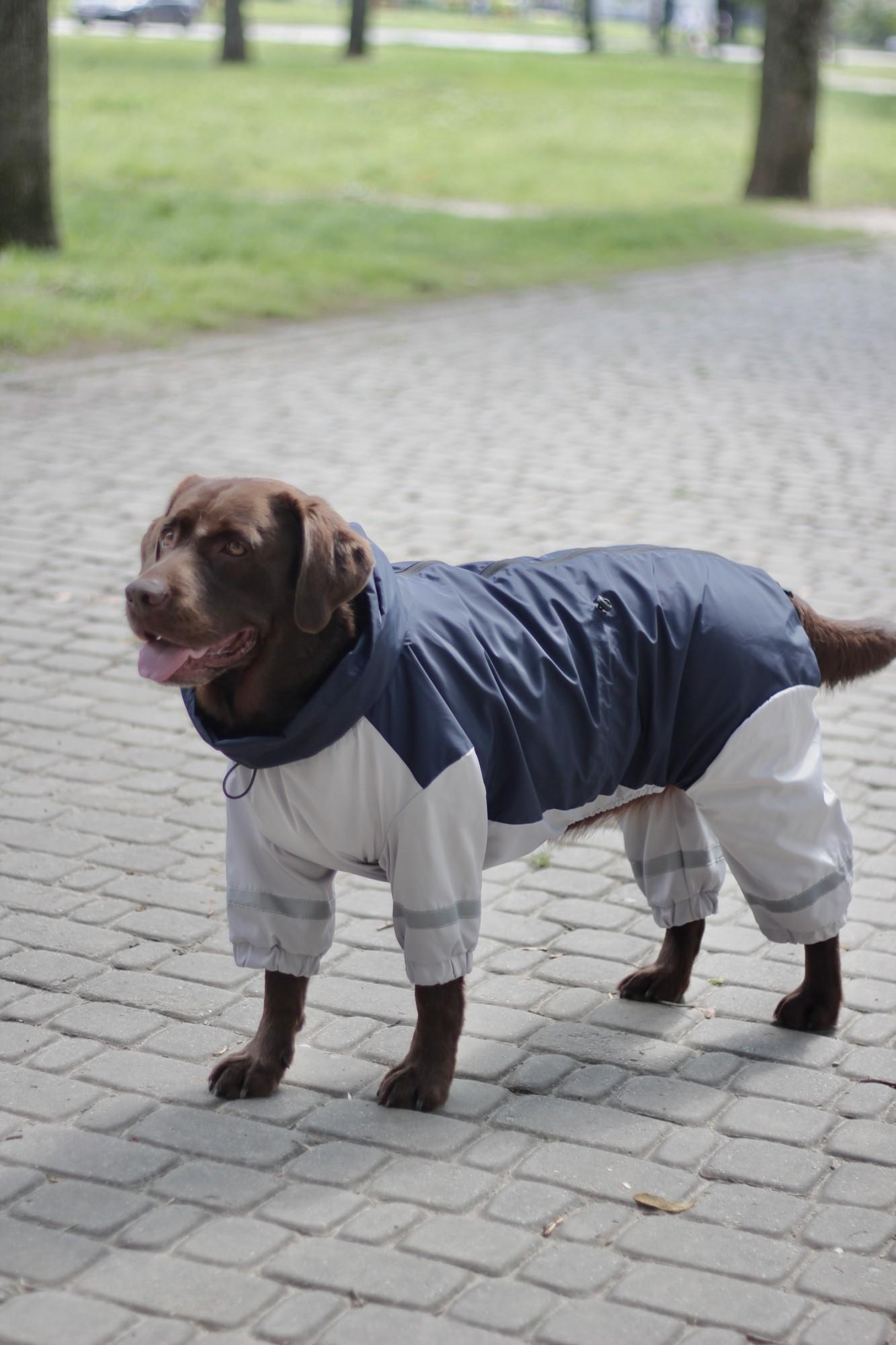 Дождевик для больших собак Dogs Bomba р. 11 Синий (68565858)