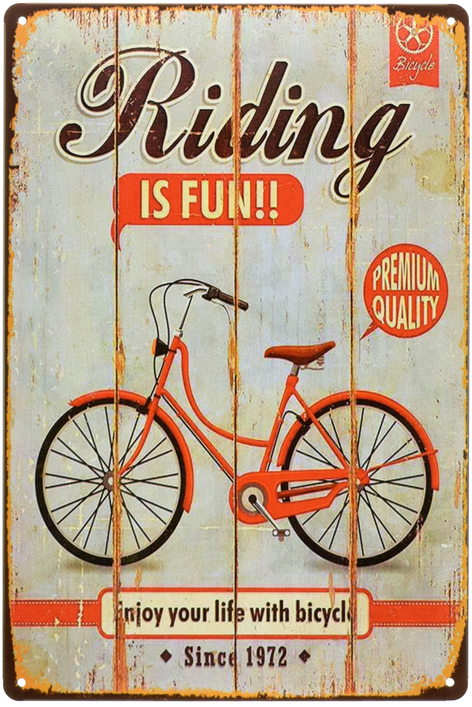 Табличка металлическая Кататься Это Весело!/Riding Is Fun! 20x30 см