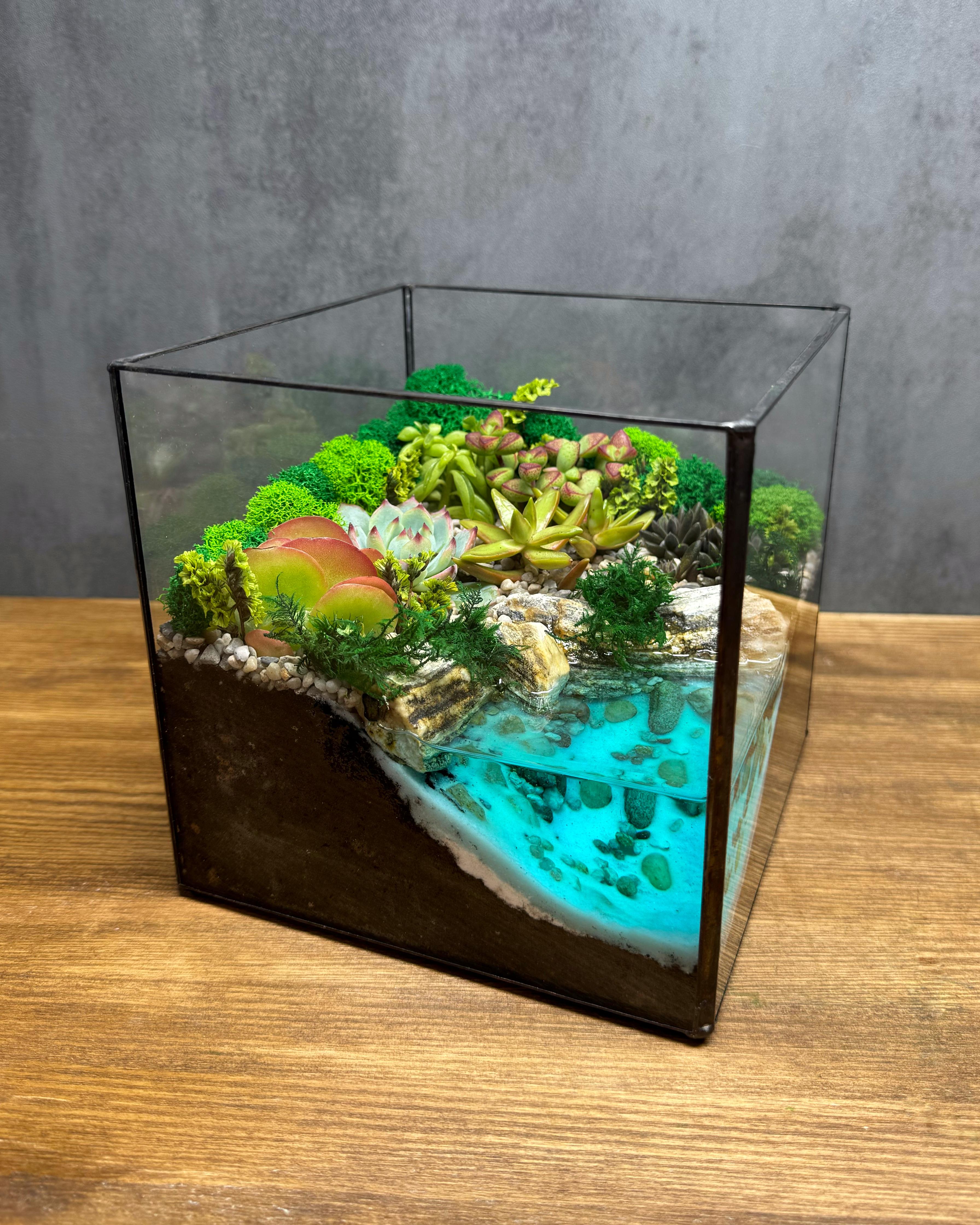 Флорариум в кубе с суккулентами и водоемом 15 см