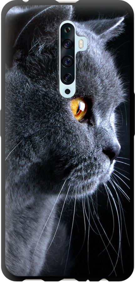 Чехол на Oppo Reno 2Z Красивый кот (3038b-1867-42517)
