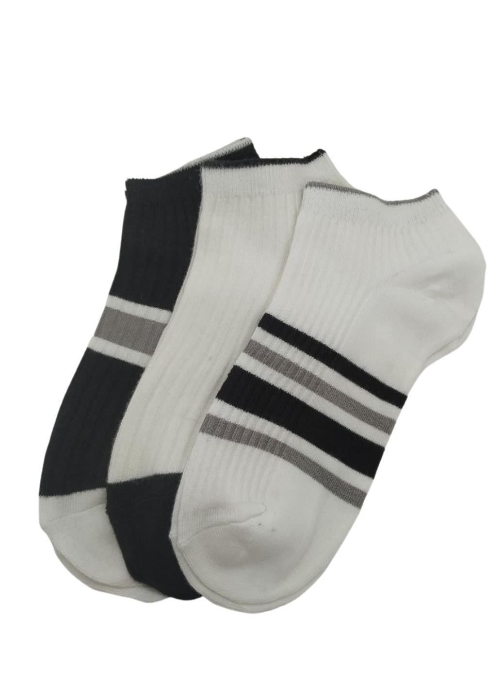 Набор носков мужских Good Сhoice 908-01 р. 41-44 3 шт. Разноцветный (12562218) - фото 2 Набор носков мужских Good Сhoice 908-01 р. 41-44 3 шт. Разноцветный (12562218) - фото 2