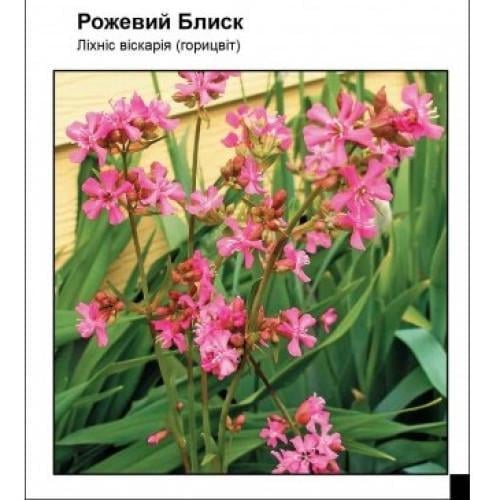 Семена цветов Садиба Центр Фоннис вискария Розовый Блеск 0,1 г (SZ-1067)