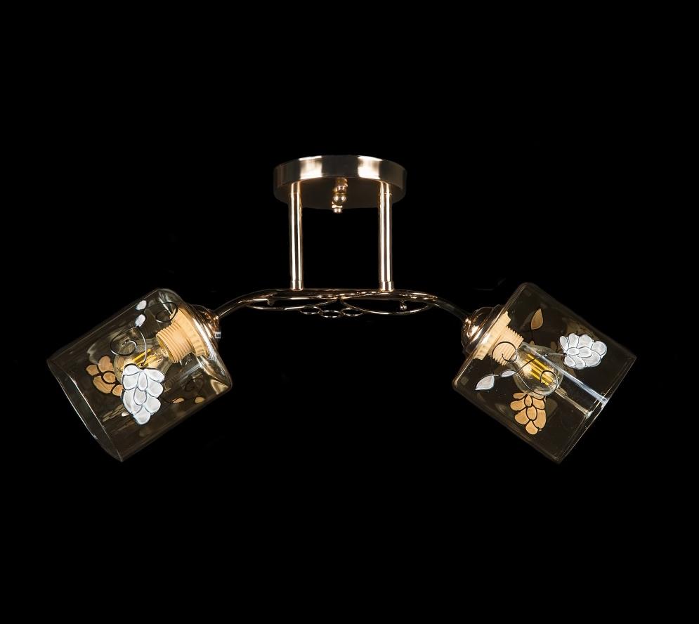 Люстра с плафонами Splendid Ray (L9605A/2 FGD) Люстра с плафонами Splendid Ray (L9605A/2 FGD)