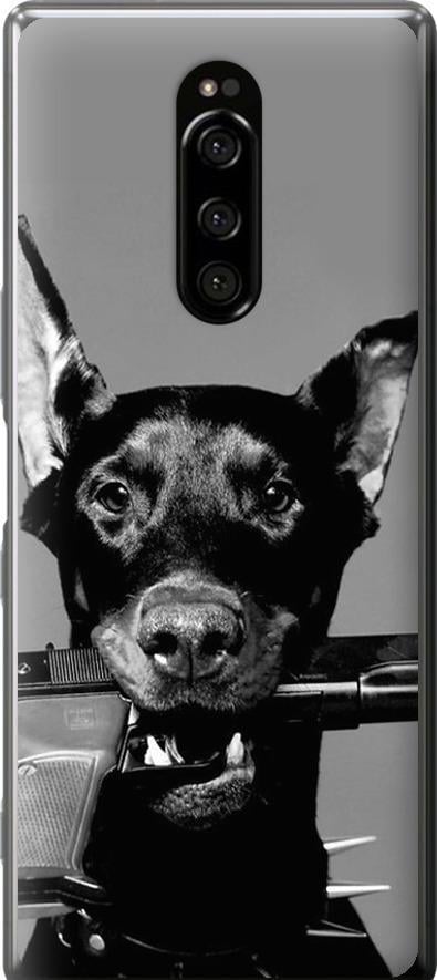 Чехол на Sony Xperia 1 J9110 Доберман (2745u-1760-42517) Чехол на Sony Xperia 1 J9110 Доберман (2745u-1760-42517)