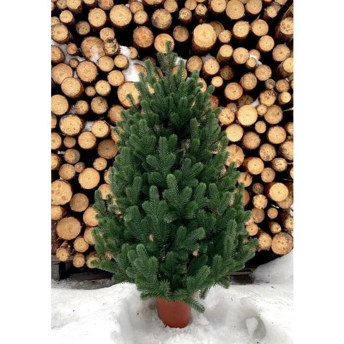 Елка литая HVOYA Traditional в горшке 90 см Зеленый (215N/90/G) - фото 4 Елка литая HVOYA Traditional в горшке 90 см Зеленый (215N/90/G) - фото 4