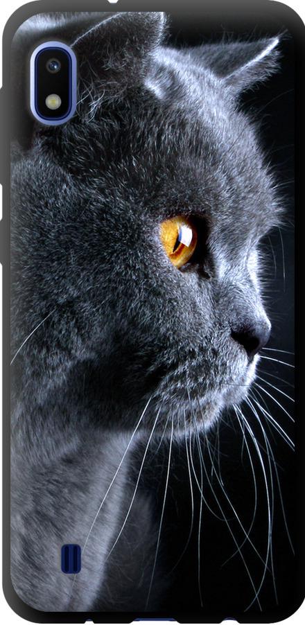 Чехол на Samsung Galaxy A10 2019 A105F Красивый кот (3038b-1671-42517)