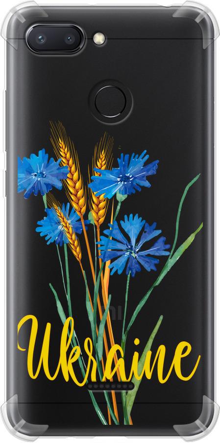 Чехол на Xiaomi Redmi 6 Ukraine v2 (5445sp-1521-42517)