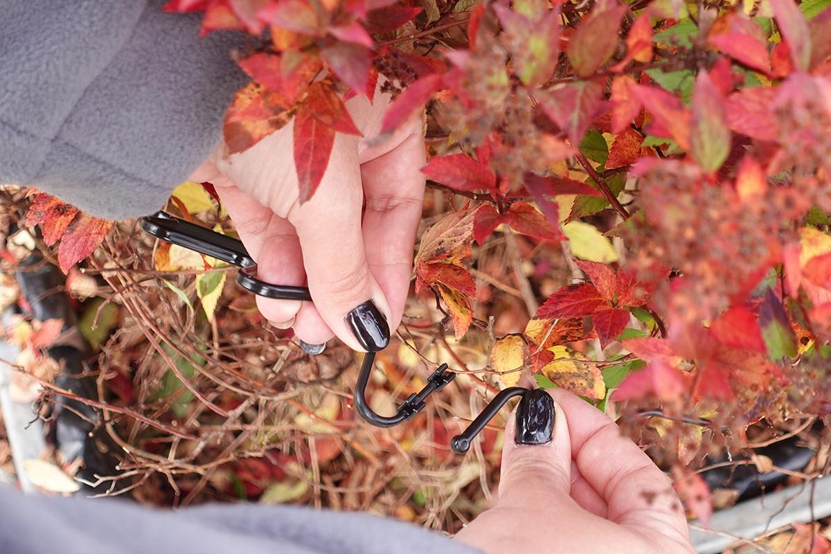 Набор цветочных подставок гортензий Vulcanus Fi 8 мм 30 шт. Черный (2377133140) - фото 3 Набор цветочных подставок гортензий Vulcanus Fi 8 мм 30 шт. Черный (2377133140) - фото 3