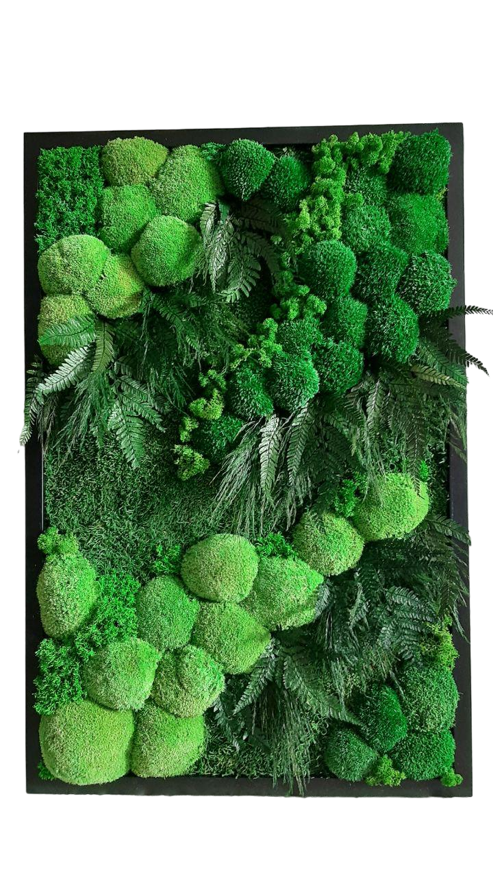 Картина из мха Organic Design Ягель 835 90x60 см (835-90-60) Картина из мха Organic Design Ягель 835 90x60 см (835-90-60)