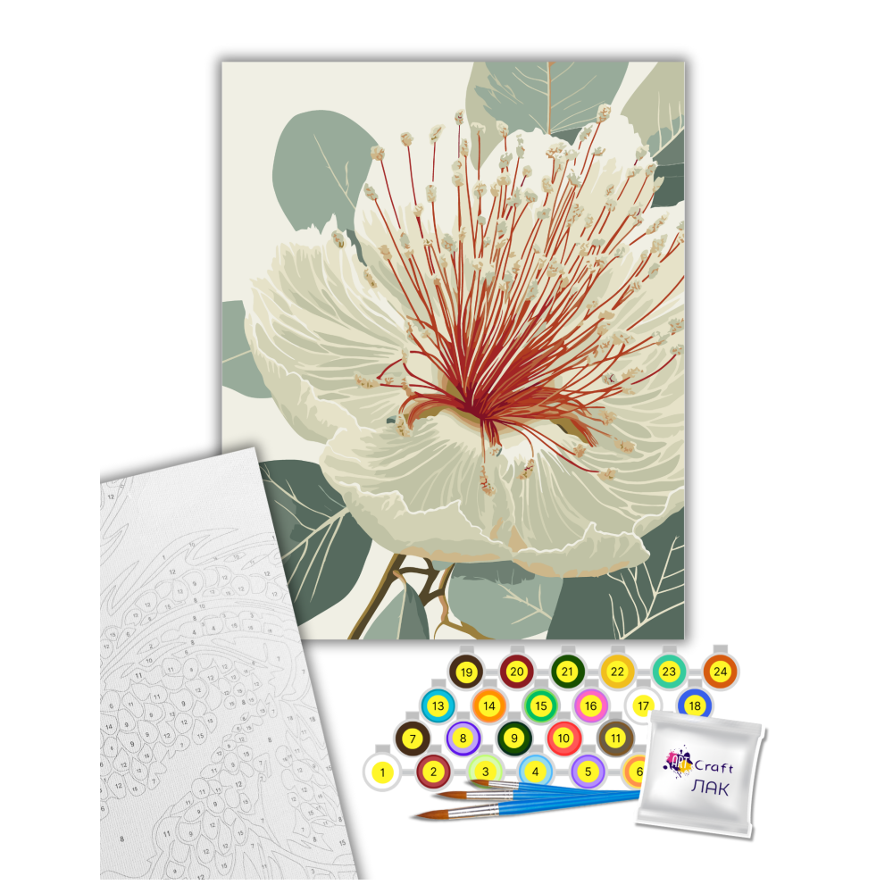 Картина по номерам ART CRAFT Цветущий эвкалипт 40x50 см Разноцветный (PM-194-K-1404) - фото 2