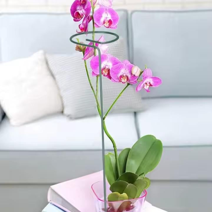 Набор опор для комнатных и садовых растений с кольцами 3 шт. 39х4 см (kolyshki_2) - фото 3 Набор опор для комнатных и садовых растений с кольцами 3 шт. 39х4 см (kolyshki_2) - фото 3