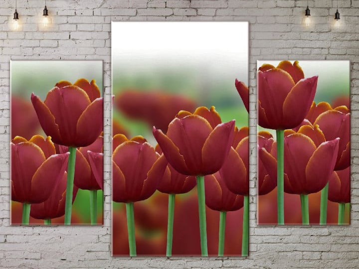 Картина модульная ArtStar Тюльпаны ADFL0073 120х180 см 3 части