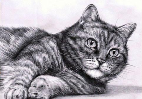 Алмазна мозаїка Лежень 50x35 см (DM.048)