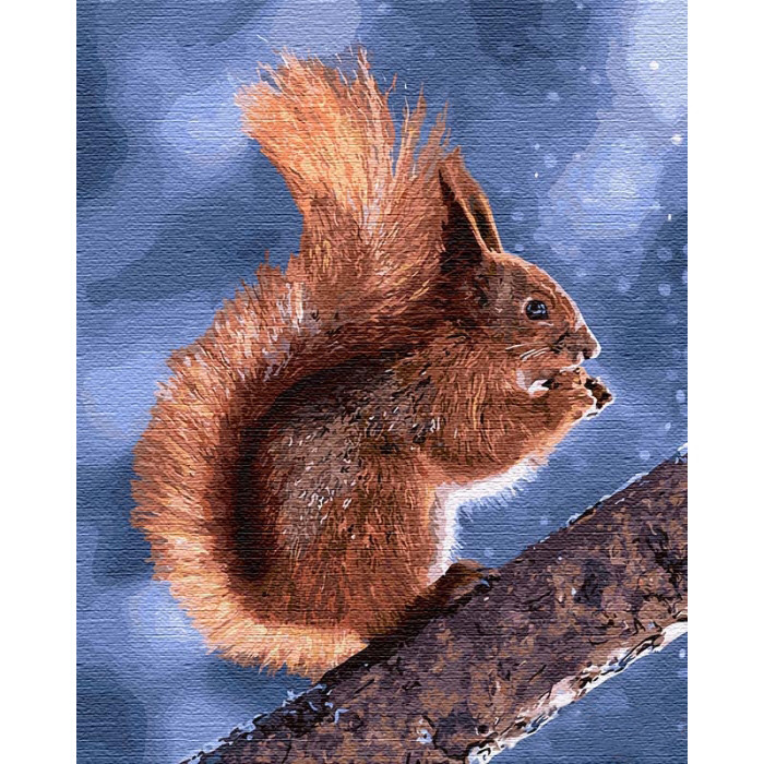 Картина по номерам Маленькая белочка 40х50 см (KHO4205)