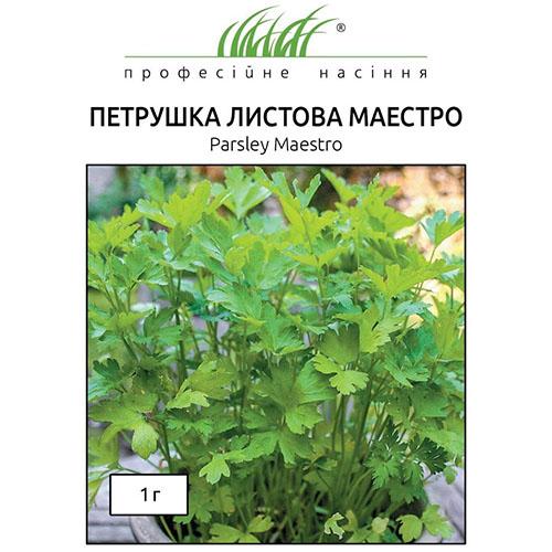 Насіння Петрушка Florium Маестро (16121) - фото 2