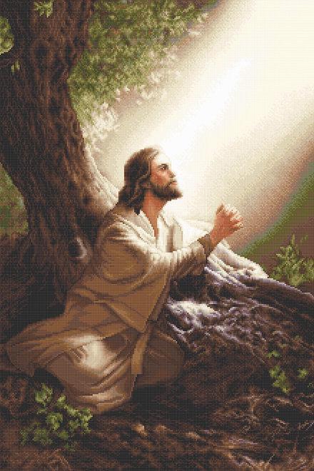 Набор для вышивания крестиком Luca-s G618 Иисус Христос (10313592)