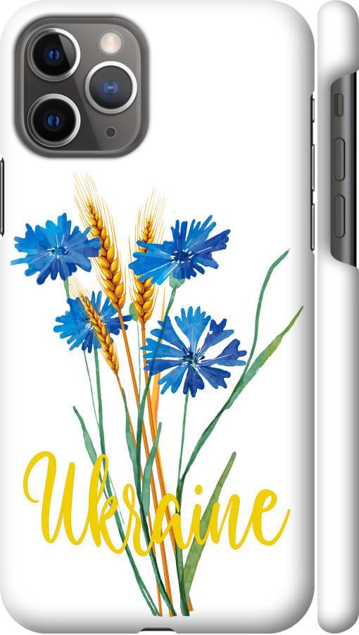 Чехол на iPhone 11 Pro Ukraine v2 (5445c-1788-42517) Чехол на iPhone 11 Pro Ukraine v2 (5445c-1788-42517)