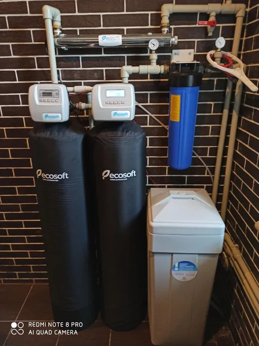 Фильтр для удаления хлора Ecosoft FPA 1252 CT - фото 2