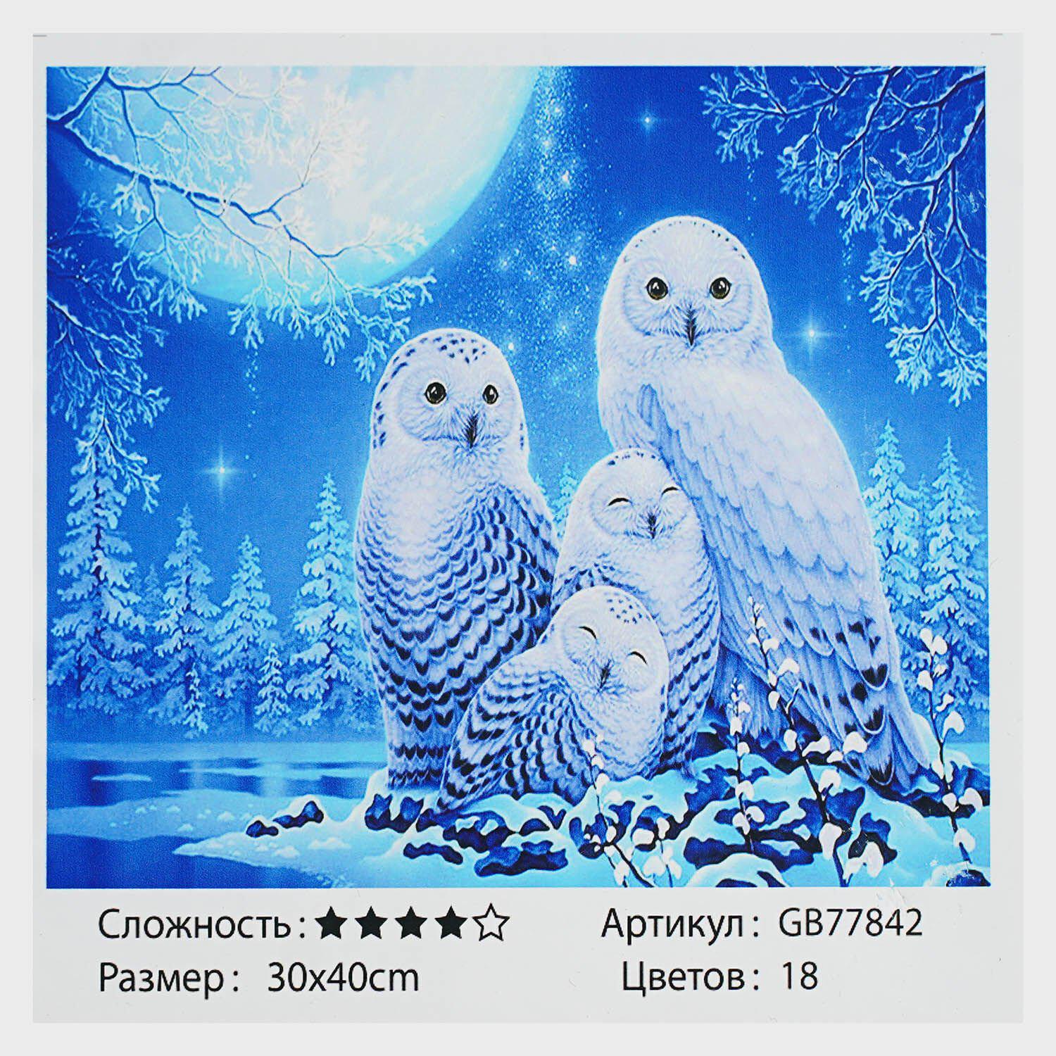 Алмазная мозаика TK Group Зимние филины 30х40 см (GB 77842)