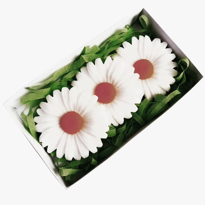 Набор мыла Ромашковое поле ручная работа 120 г (00122SM)