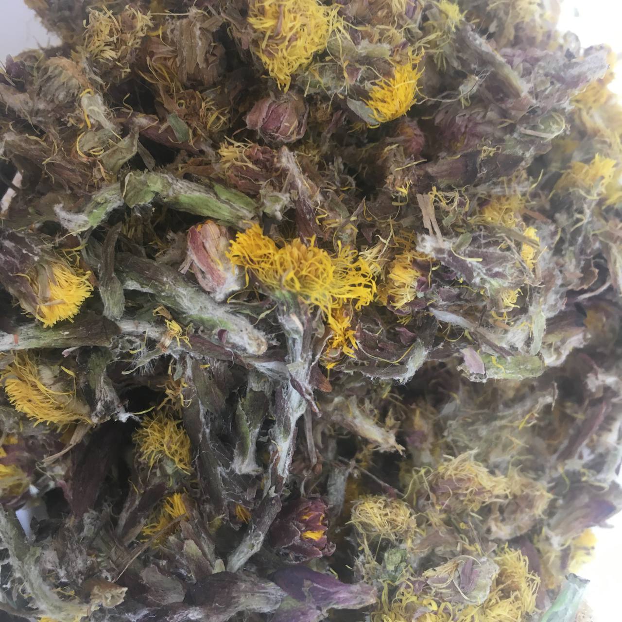Мать-и-мачеха цветы Карпаты 50 г (62a2196bfc977e5aa872dcd3) Мать-и-мачеха цветы Карпаты 50 г (62a2196bfc977e5aa872dcd3)