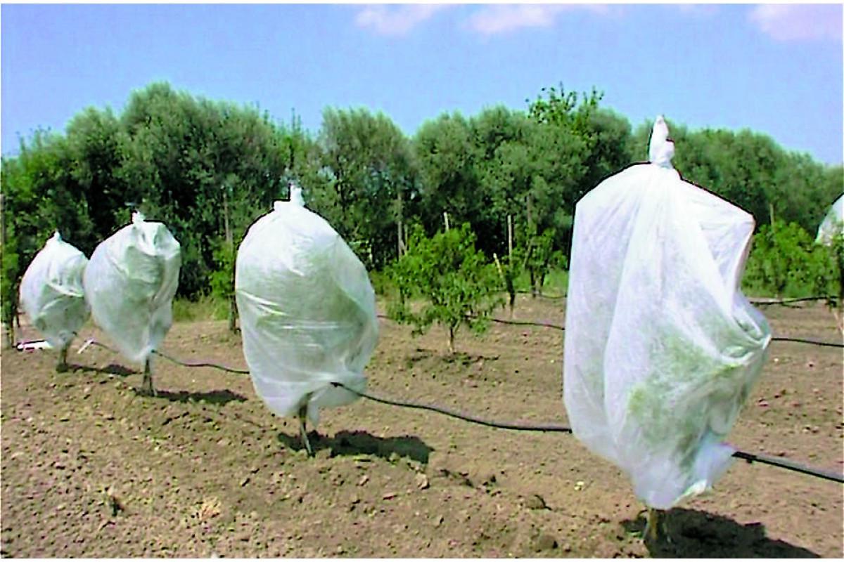 Агроволокно покрывное Greentex Р30 3, 20x100 м Белый (25020691) - фото 9 Агроволокно покрывное Greentex Р30 3, 20x100 м Белый (25020691) - фото 9