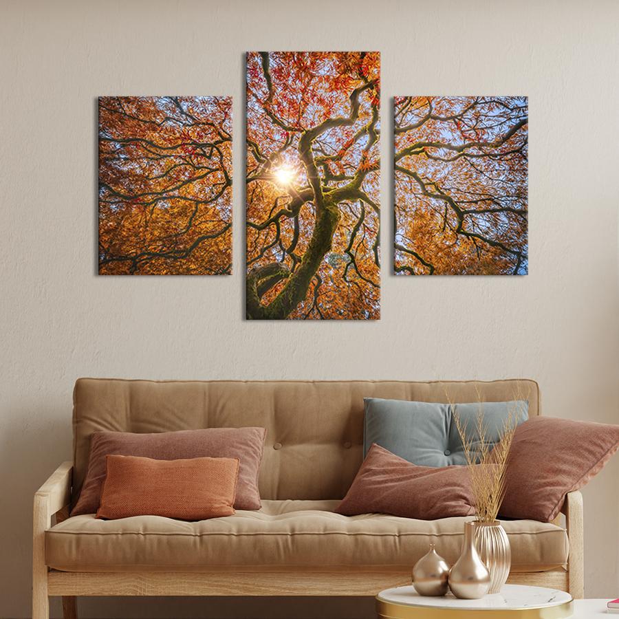 Модульная картина на холсте Триптих Красивая крона клёна 96x60 см (612-32)