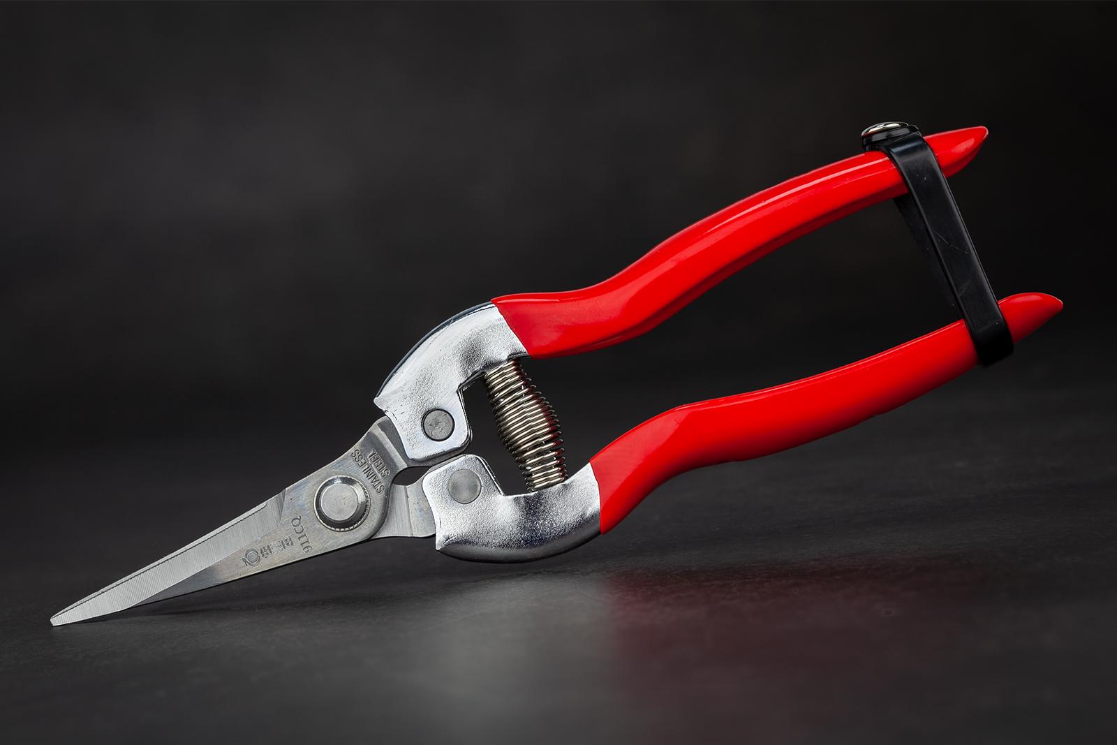 Ножиці садові Sagawata з нержавіючої сталі вигнуті 185 мм (911CQ) - фото 6 Ножиці садові Sagawata з нержавіючої сталі вигнуті 185 мм (911CQ) - фото 6