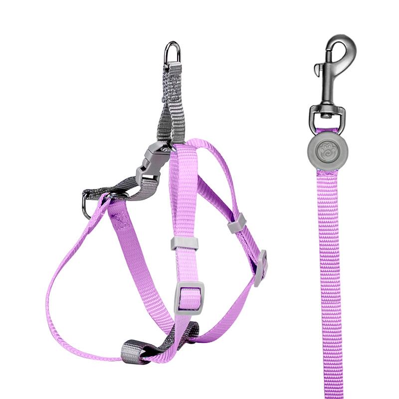 Шлея для собак и кошек с поводком Taotaopets 171120 Purple S (1.0 cm) для выгула