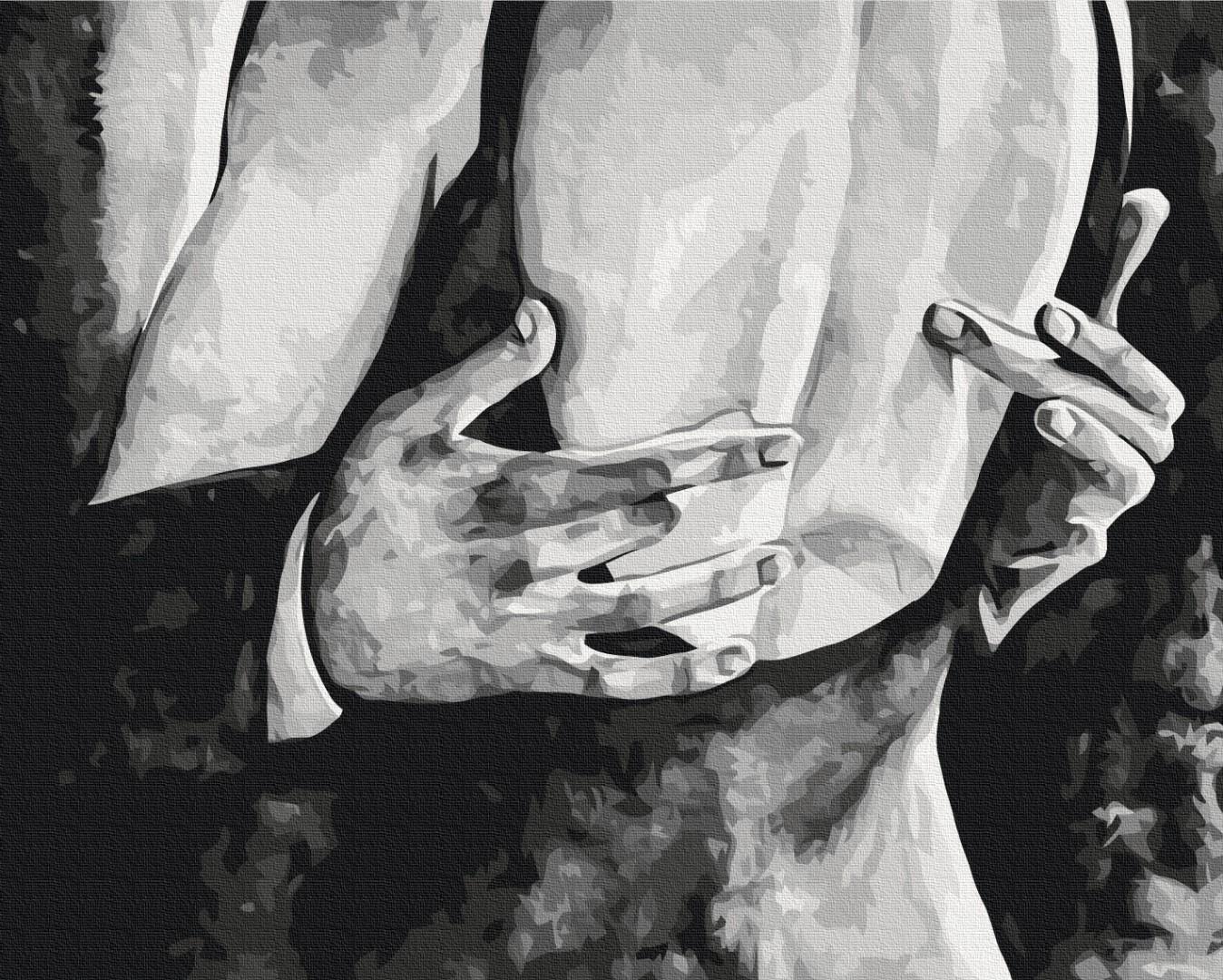 Картина по номерам Brushme Brushme Язык тела 5 40х50 см (BS53859)