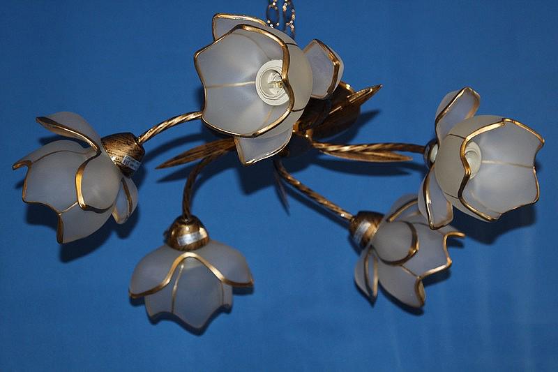 Люстра с плафонами Ray L10030A/5 (IR005892)