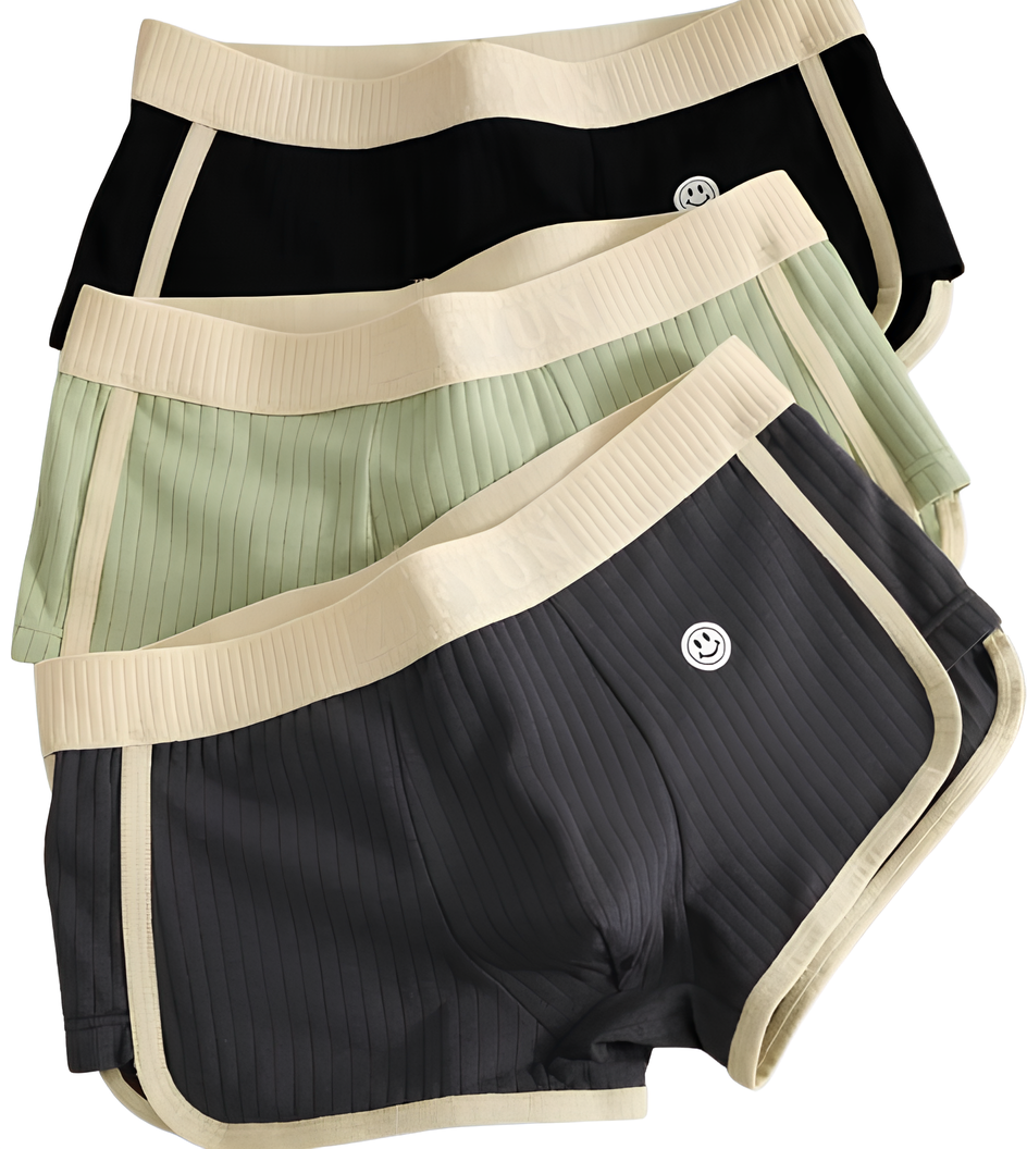 Труси боксери чоловічі 3 шт. XL (НТЧ21)