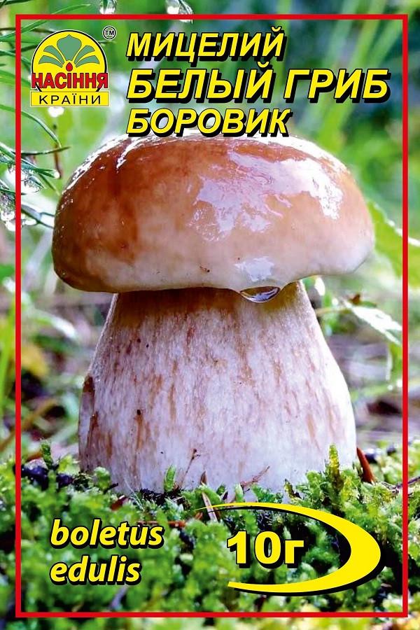 ᐉ Белый гриб Боровик Насіння країни 10 г (1137297428) • Купить в е .