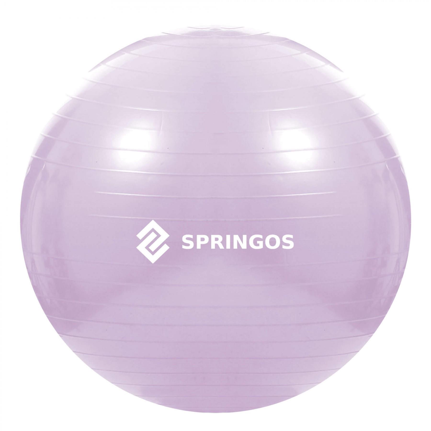 Фитбол SportVida 65 см Anti-Burst Violet (20810)