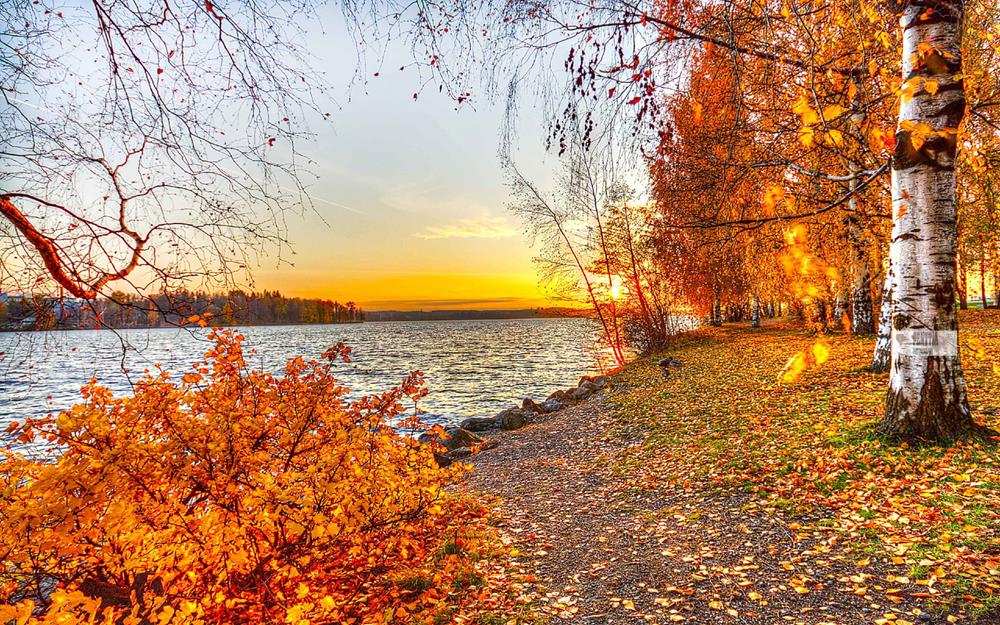 Картина Природа PR082 35х55 см