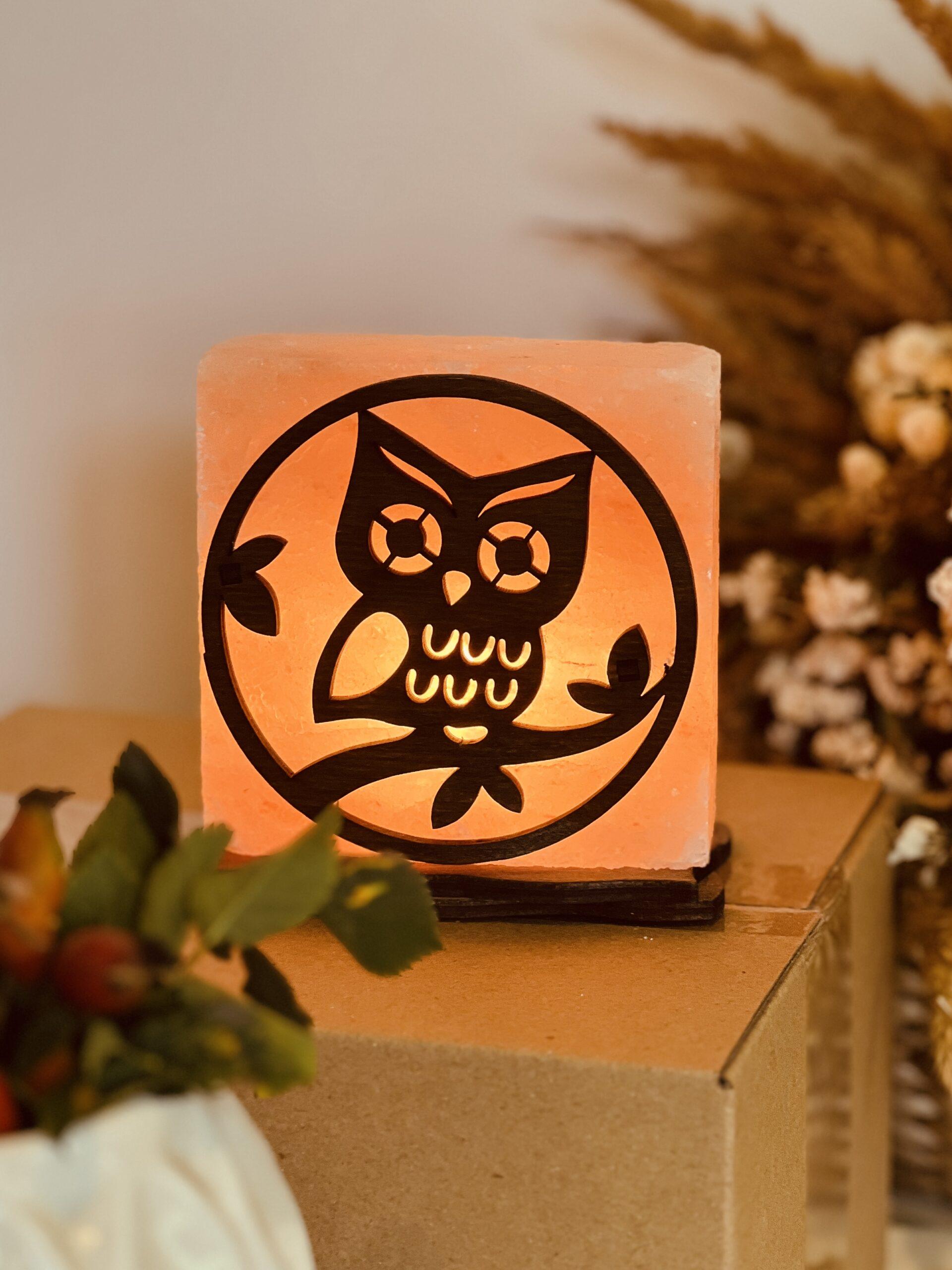 Соляная лампа декоративная Himalayan Сова на ветке 1 кг (29903024)