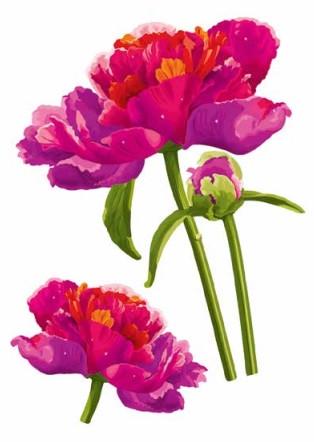 Декоративная наклейка Арт-Декор 38 Пионы 2 50х70 см (2000000535852)