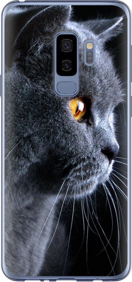 Чехол на Samsung Galaxy S9 Plus Красивый кот (3038t-1365-42517)