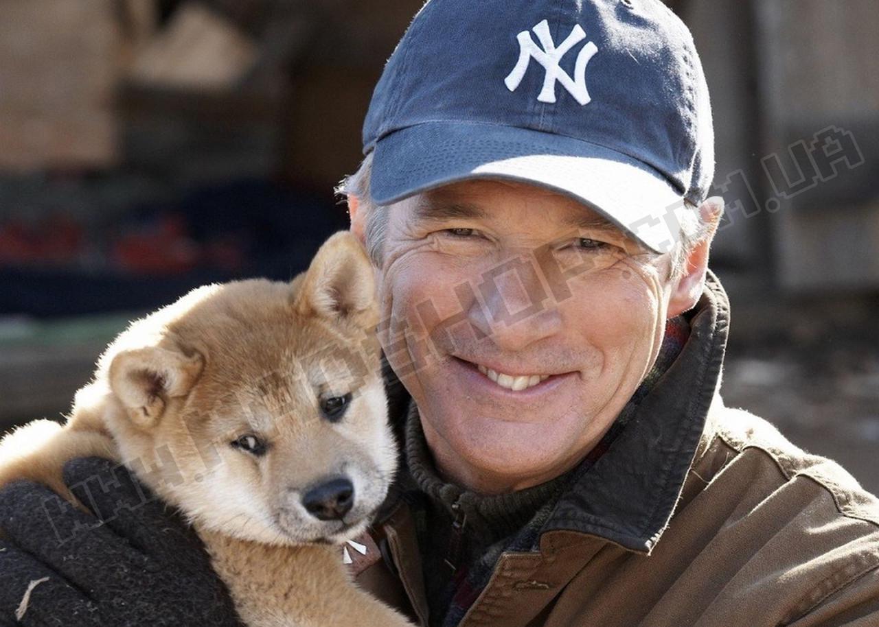 Картина Хатико Hachi Друзья навек