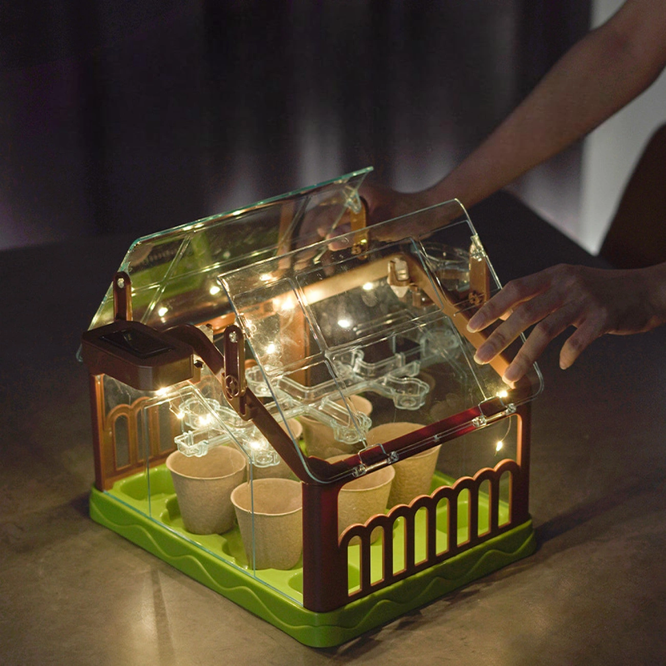 Набор юного садовода "Мини-теплица" с подсветкой для выращивания растений - фото 5 Набор юного садовода "Мини-теплица" с подсветкой для выращивания растений - фото 5