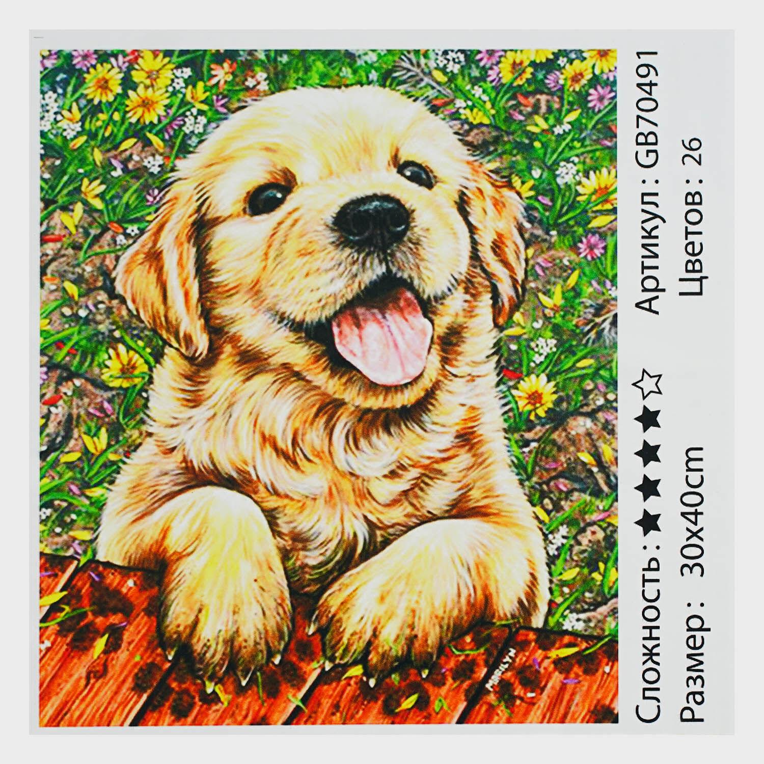 Алмазная мозаика TK Group Щенок 30х40 см (GB 70491)