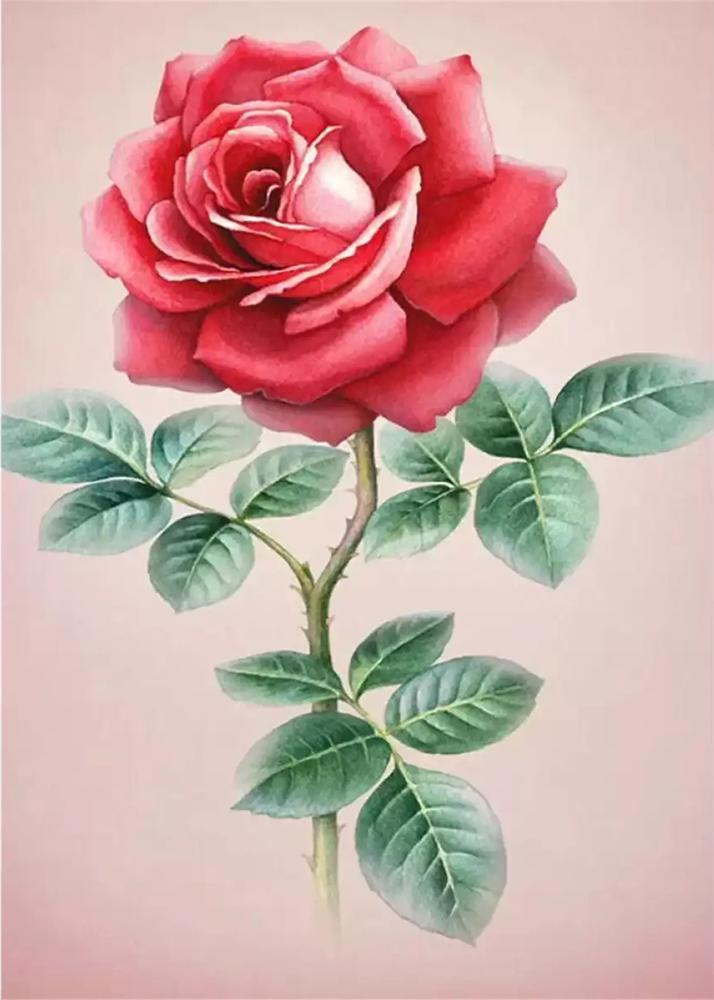 Алмазная мозаика Роза 30x40 см (22820)
