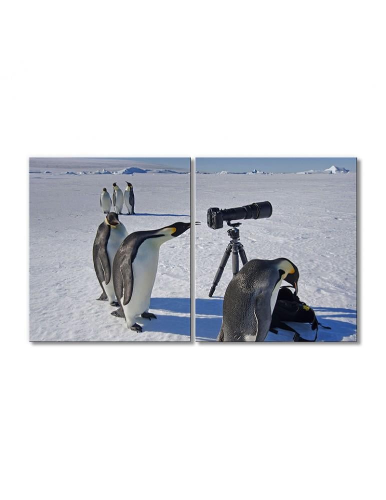 Картина модульная Пингвины в Антарктиде 2 модуля 30х45 см
