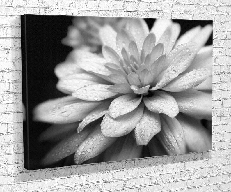 Картина для интерьера Белый цветок в росе 80x54 см (636)