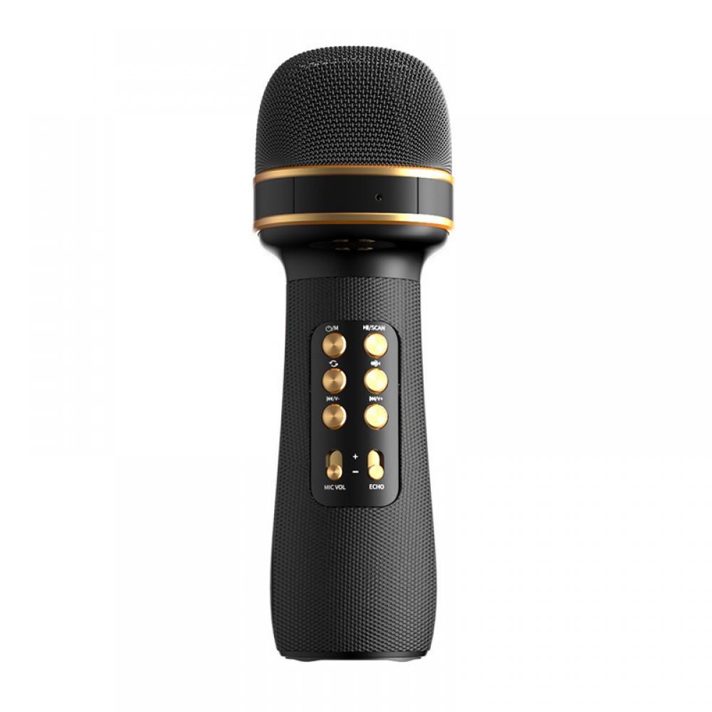 Караоке микрофон Wster WS898 беспроводной для дуэта Черный