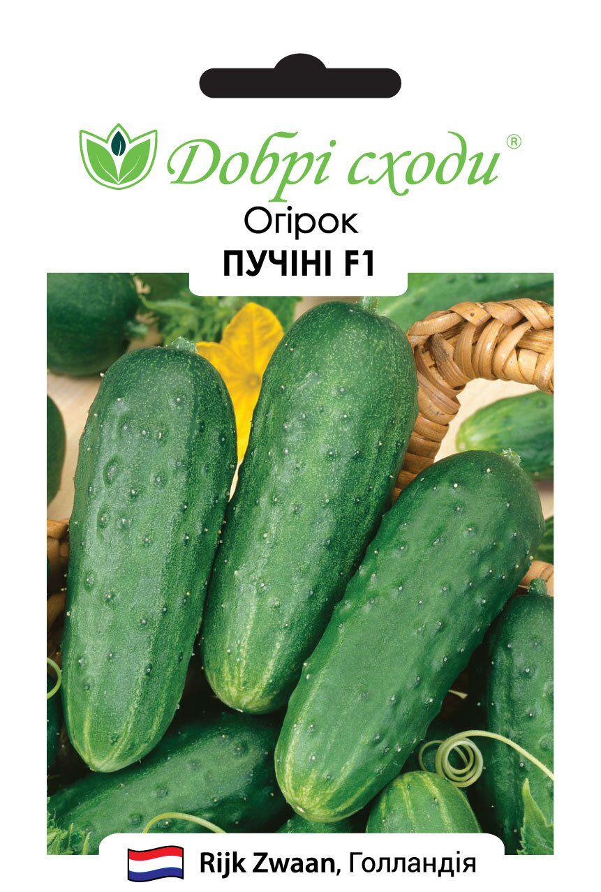 Насіння огірків Пучіні F1 (3354)