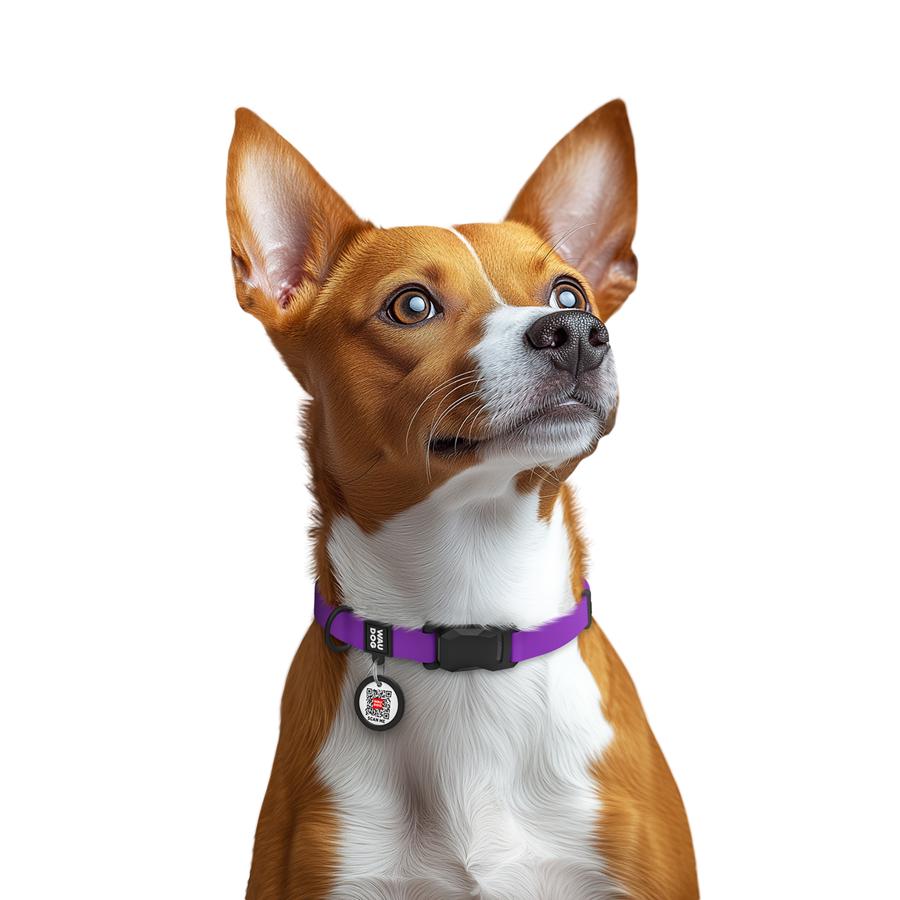 Нашийник для собак водостійкий Waudog Magnet магнітна пряжка-фастекс S 15 мм 26-35 см Purple (27949) - фото 4 Нашийник для собак водостійкий Waudog Magnet магнітна пряжка-фастекс S 15 мм 26-35 см Purple (27949) - фото 4