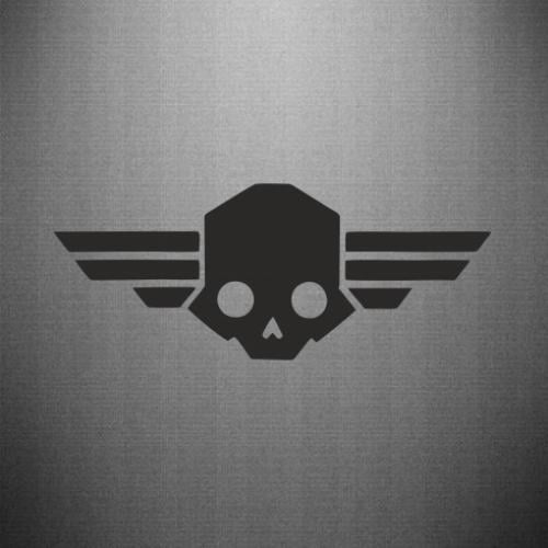 Наклейка Democracy Skull 50x20,2 см Черный (21560803)