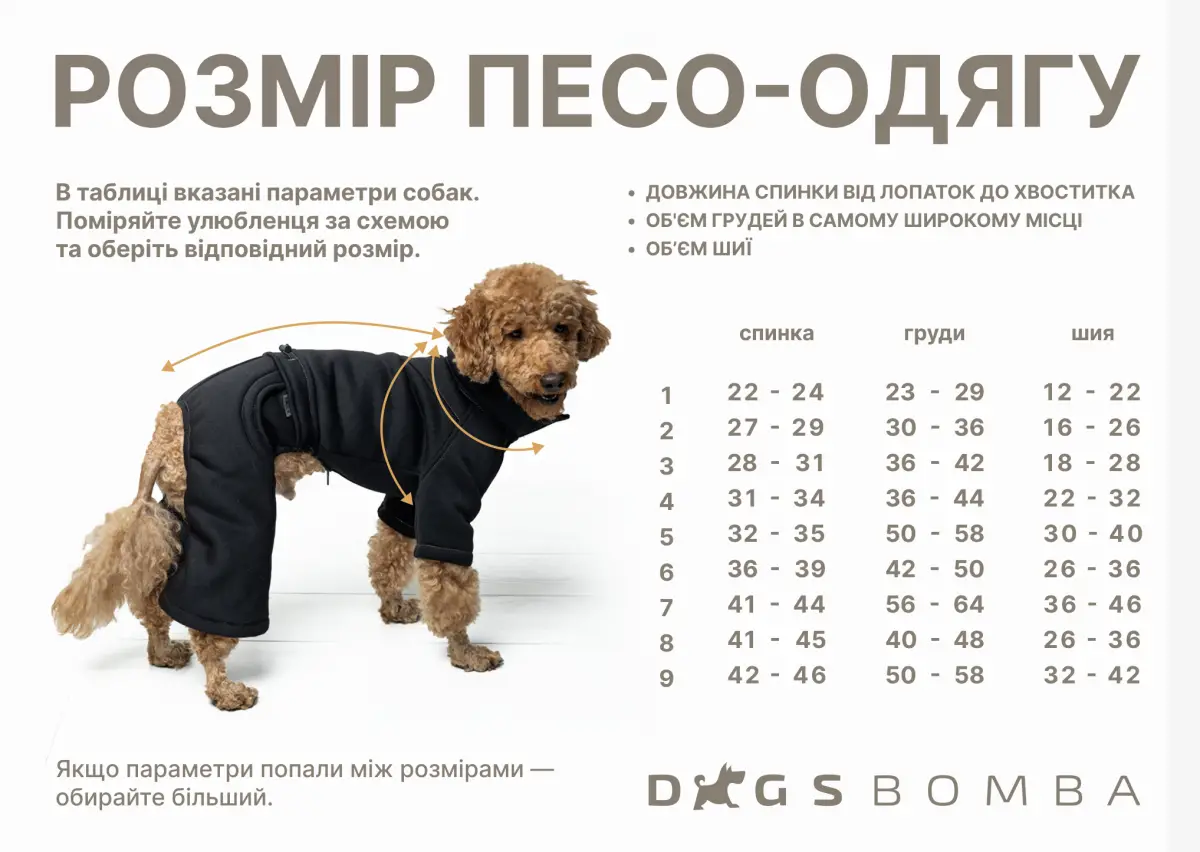 Толстовка Dogs Bomba 3 Зебра - фото 4