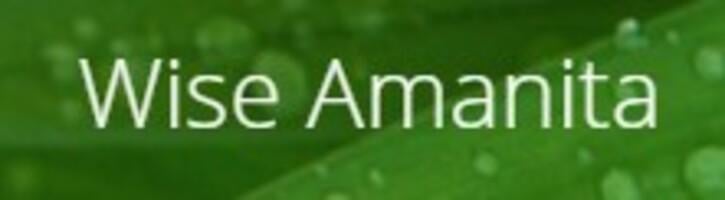 Wise Amanita Wise Amanita